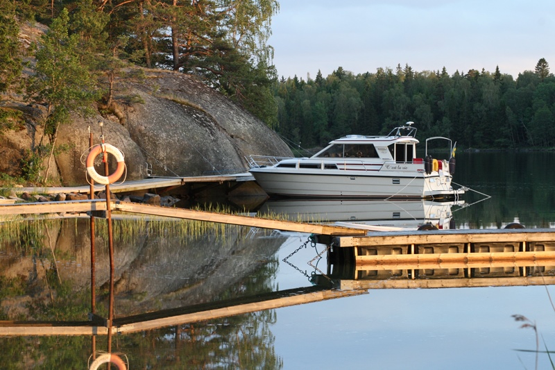 Kvällsol skeppsmyra